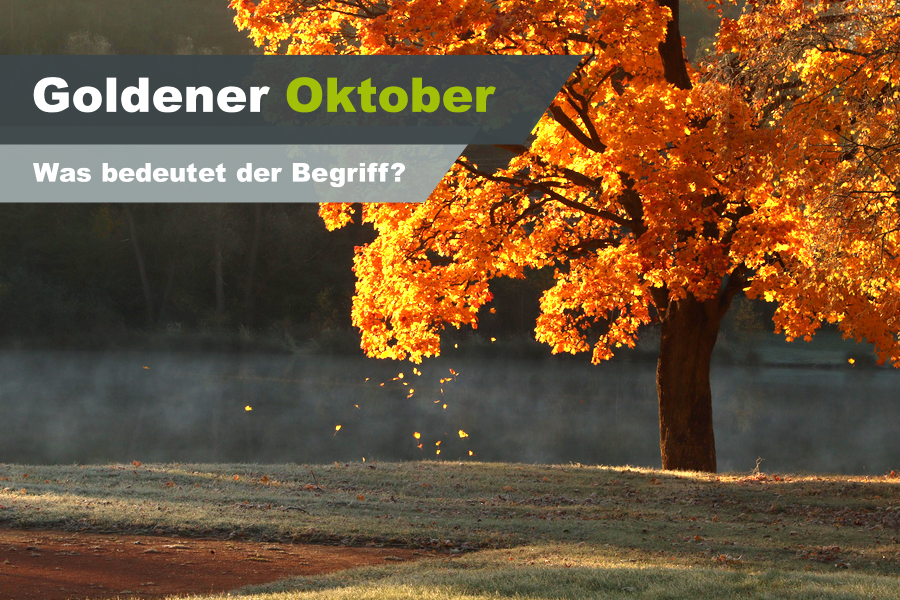 goldener oktober ticker 141026