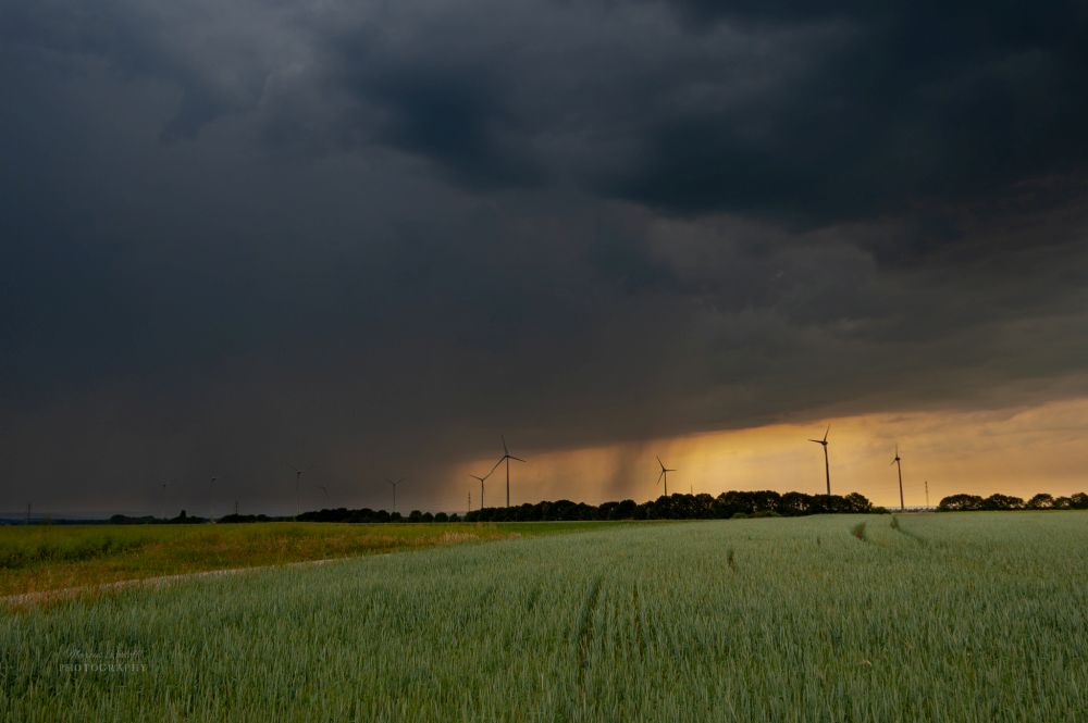 Dieses Bild zeigt ein aufziehendes Gewitter bei Euskirchen. Zu sehen ist der Aufwind und Niederschlagsbereich des Gewitter. Im Vordergrund ist ein reifendes Getreidefeld mit Windmühlen zu sehen.