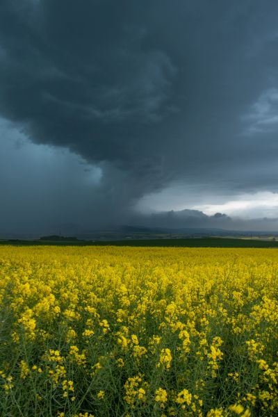 030525 4