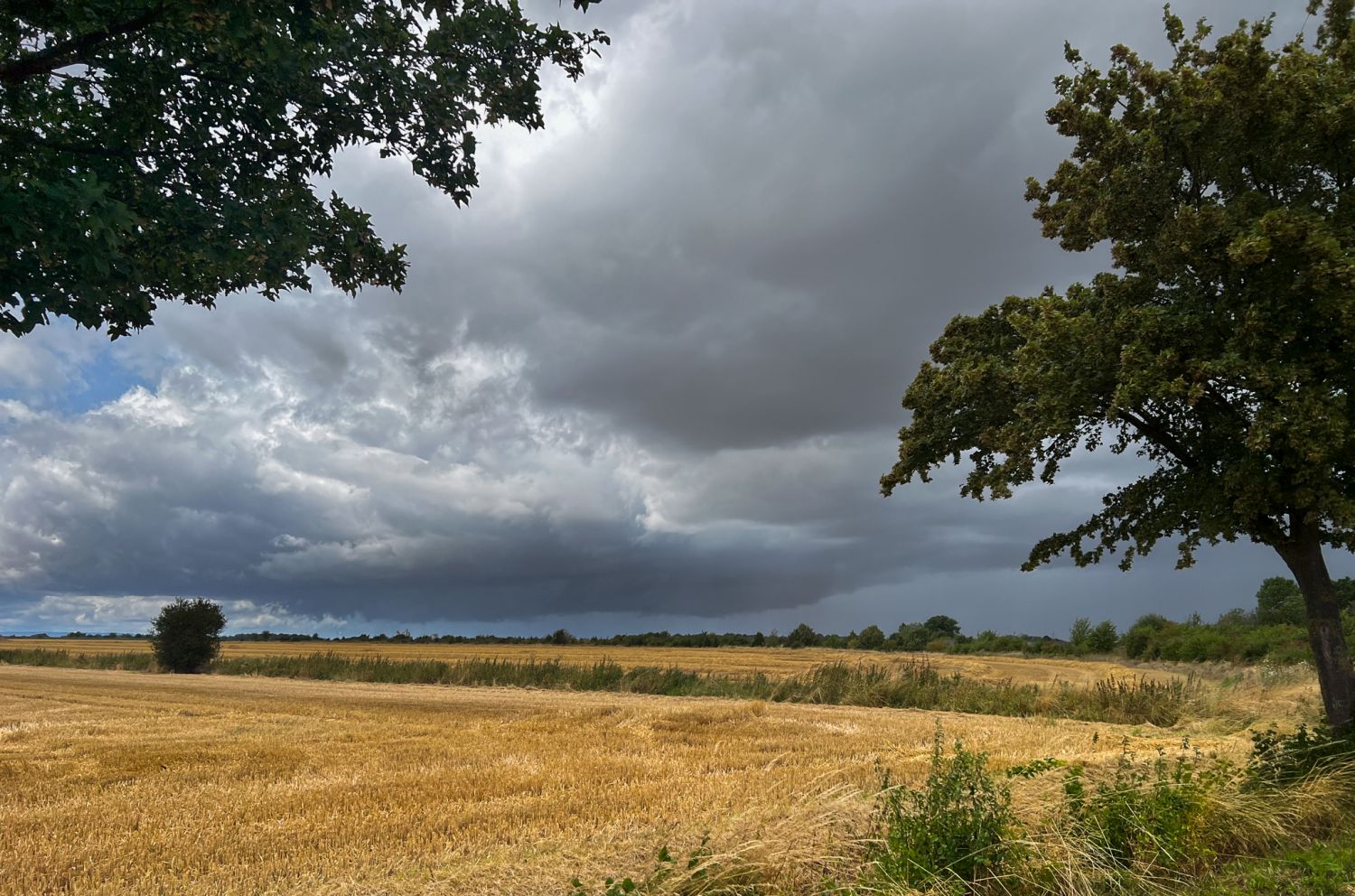 Gewitter 240723 kerpen 2