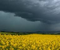 03.05.2025 | Right Mover bei Rheinbach und kräftige Gewitterlinie bei Mayen