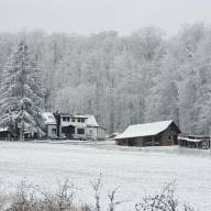 Fotostrecke: Schneereicher Jahresanfang